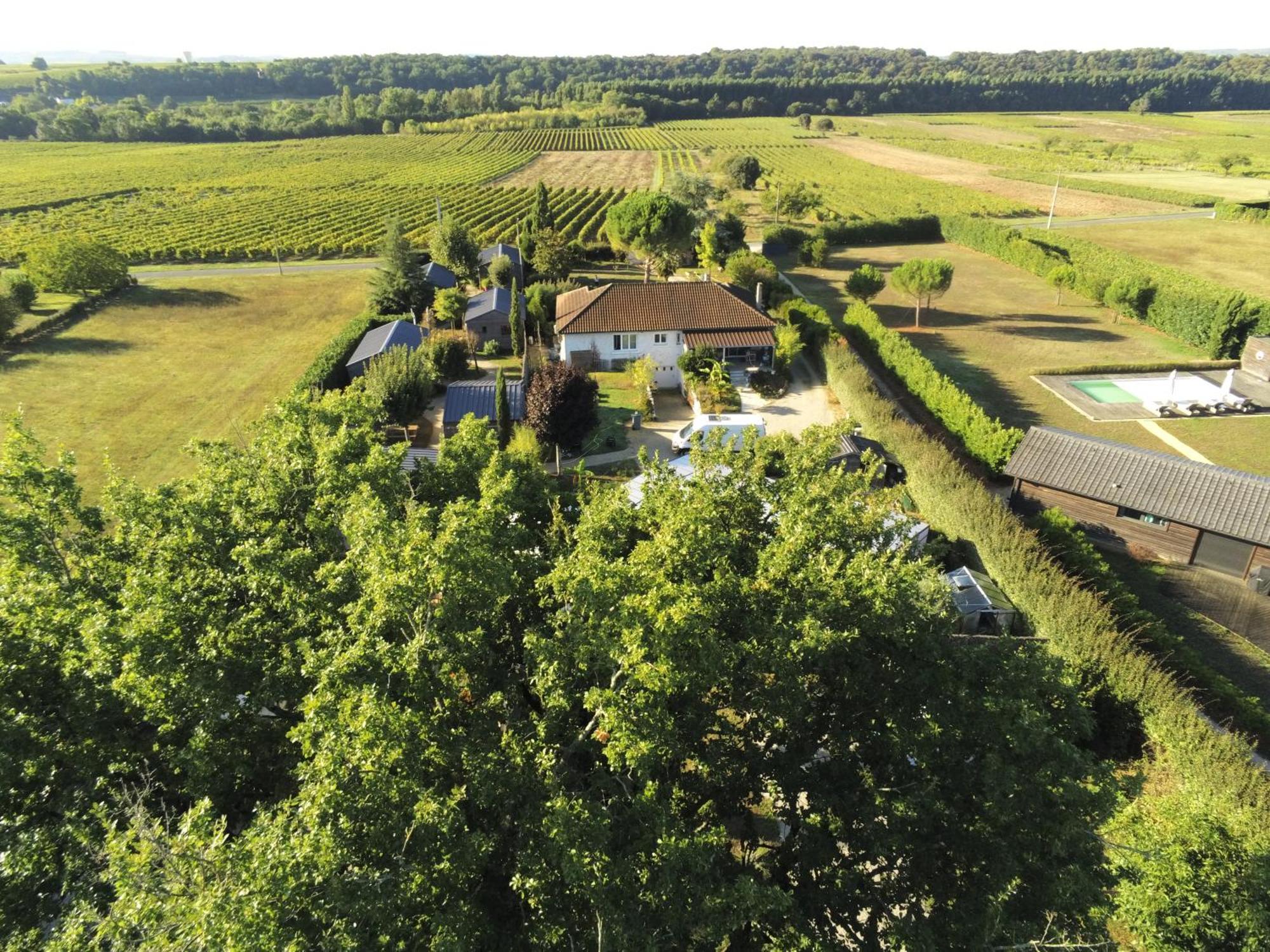 Les Pilotis Du Cognac Villa Bourg-Charente Eksteriør billede